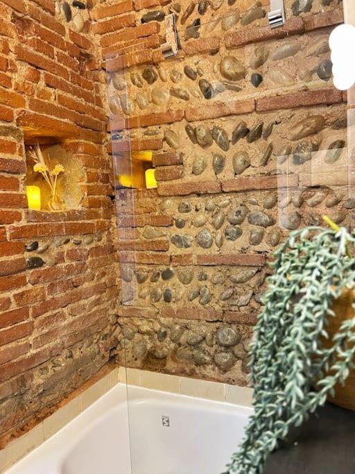 Cocon Cosy Dans La Ville Rose Toulouse Exterior photo