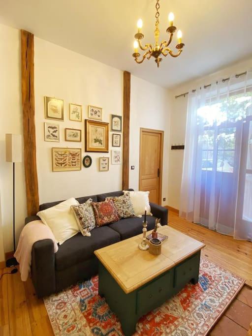 Cocon Cosy Dans La Ville Rose Toulouse Exterior photo