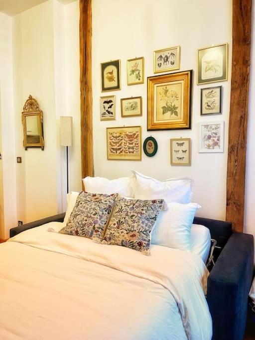 Cocon Cosy Dans La Ville Rose Toulouse Exterior photo